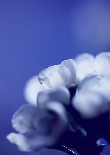 Cosmetica sostenible Secretos del Agua
