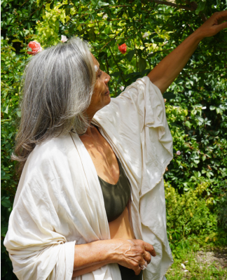 Menopausia